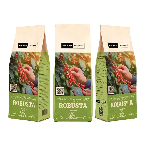 Cà phê hạt nguyên chất Robusta Milano Coffee bao bì túi giấy xanh lá in hình bàn tay hái quả cà phê chín mọng